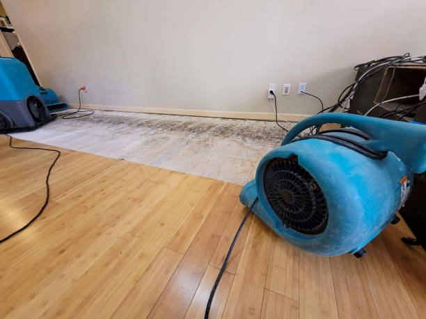 Professional Structural Drying technician working in Saint Louis, MO